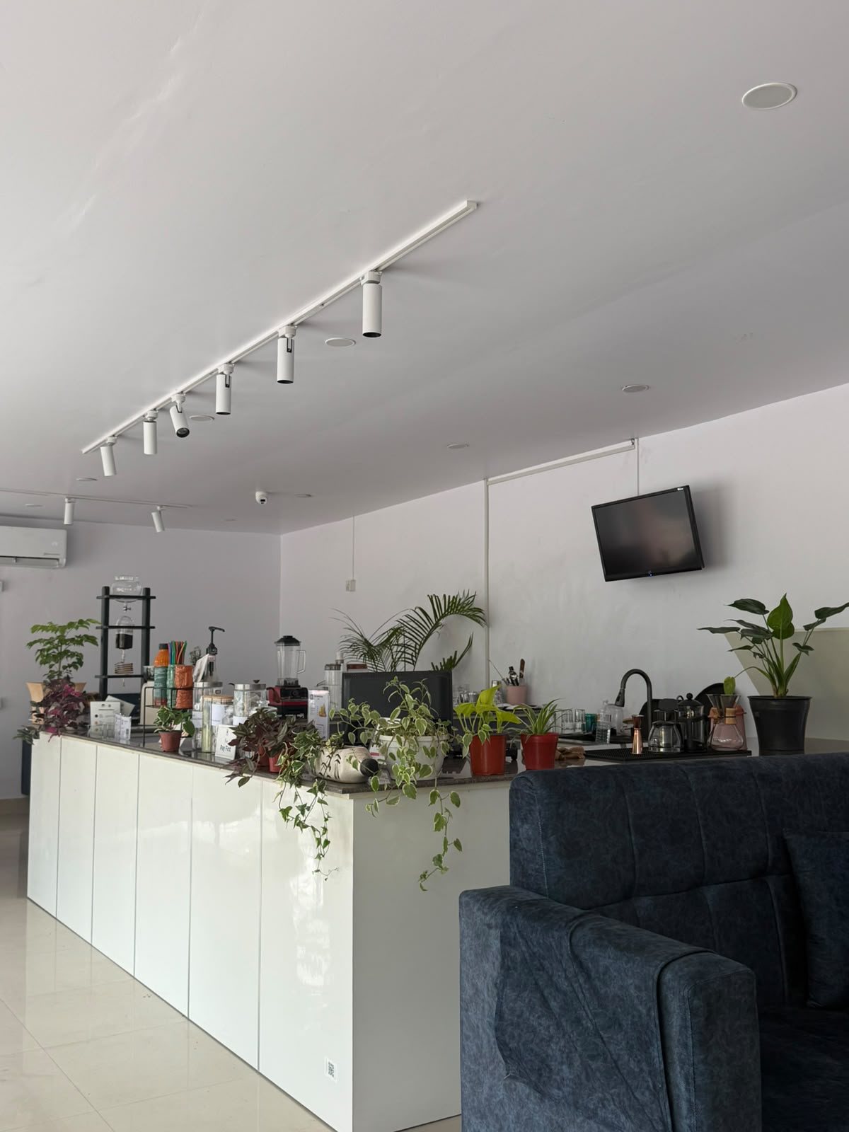 Inside The Central Drip, the counter and seating